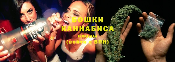 мдпв Володарск