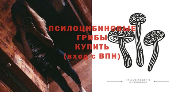 шишки Волосово