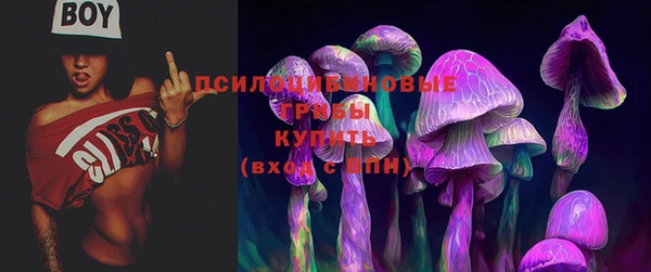 шишки Волосово