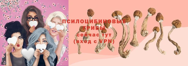 шишки Волосово