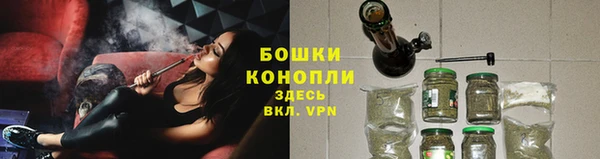 мдпв Володарск