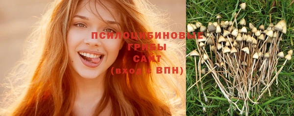 тгк Верея