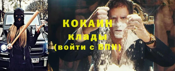 шишки Волосово