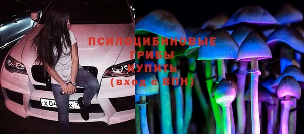 мдпв Володарск