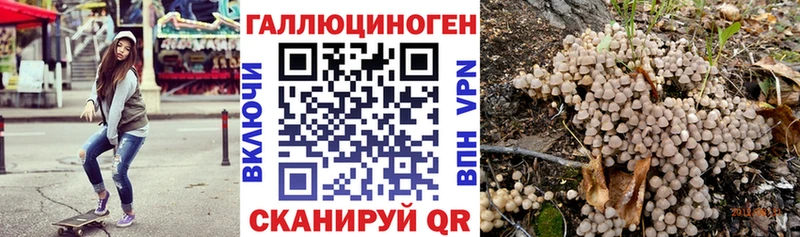 как найти закладки  маркетплейс телеграм  Псилоцибиновые грибы Cubensis  Истра 